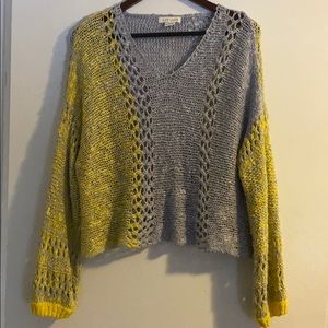 Distressed Knit Cropped Sweater